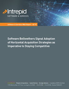 Newletter_SoftwareServices_M&AReport_Q219